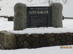 海津大崎の桜並木　今は雪であたり一面真っ白だが春になればさぞ桜できれいだろう