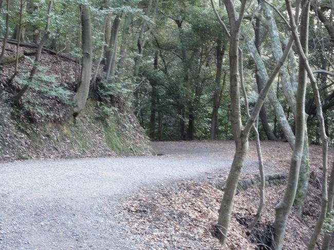 こんな感じの道をひたすら下って行きます。<br />