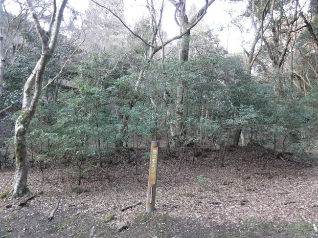 洞のもみじ。<br />今の時期は何もありませんｗ