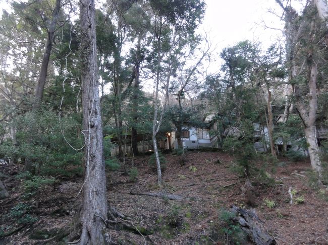 何か建物が見えてきました。