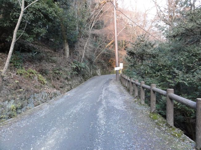 　ここからはＪＲ奈良駅まで歩いて帰ります。<br />　現在５時くらいです。朝の１０時からおよそ７時間くらい春日山原始林をさまよっていたことになります。<br />　春日山遊歩道は道も整備されていて快適なハイキングでした。<br />今度はぜひ紅葉の時期に訪れたいものです。<br /><br />　ここから徒歩ではなく近くの「春日大社本殿バス停」からバスで駅に向かうのもいいかと思います。<br /><br /><br />　とりとめのない旅行記で大して面白くないものになってしまいましたが、もし読んでいただけた方がおられましたらとても嬉しいです。<br /><br />　今後もよろしくお願いします。