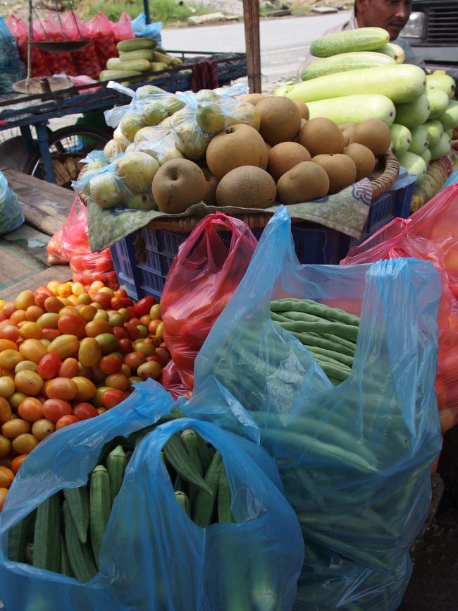 野菜や果物が豊富なんですね