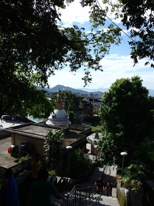 この階段を下りていくと