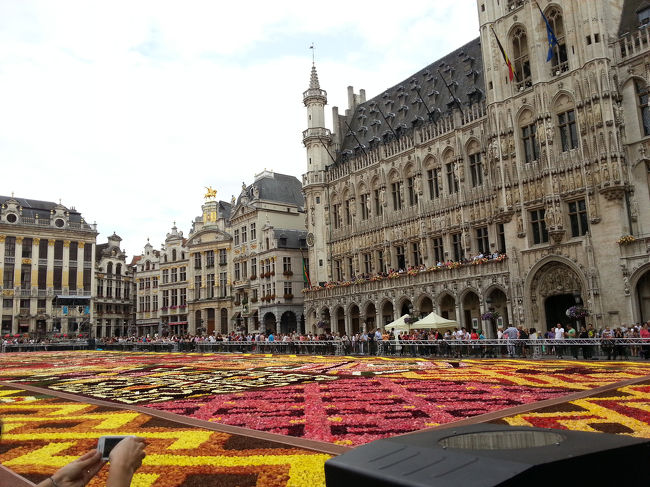 どうしても、ブリュッセルに来たかった理由のひとつ、二年に一度のフラワーカーペット<br />ライトアップされ深夜まで人がいっぱいです。
