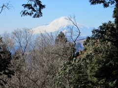 山頂の大山阿夫利神社本社までくると、
西側に富士山が見えます。
