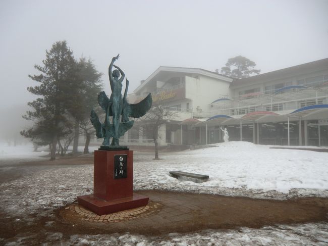 毎年、冬になると多くの白鳥が猪苗代湖にやってくる。霧に覆われた幻想的な「白鳥の湖」（写真）で白鳥にエサをあげる。