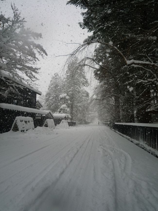 武家屋敷通りに到着しました。<br />駅から徒歩15分位。<br /><br />桜の時期が有名な角館ですが、冬は冬で、漆黒の板塀と雪のコントラストとても素敵でした！<br /><br /><br /><br />