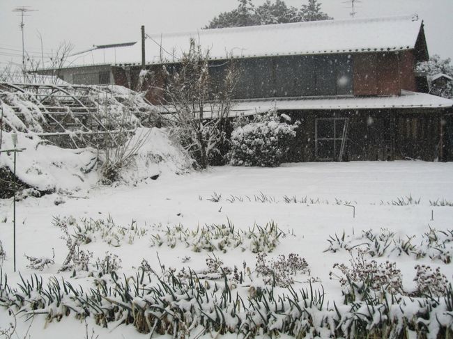 雪の降った日の廃屋 雪の降った日の廃屋 （廃墟旅シリーズvol.7前編【奇跡の茨城縦断