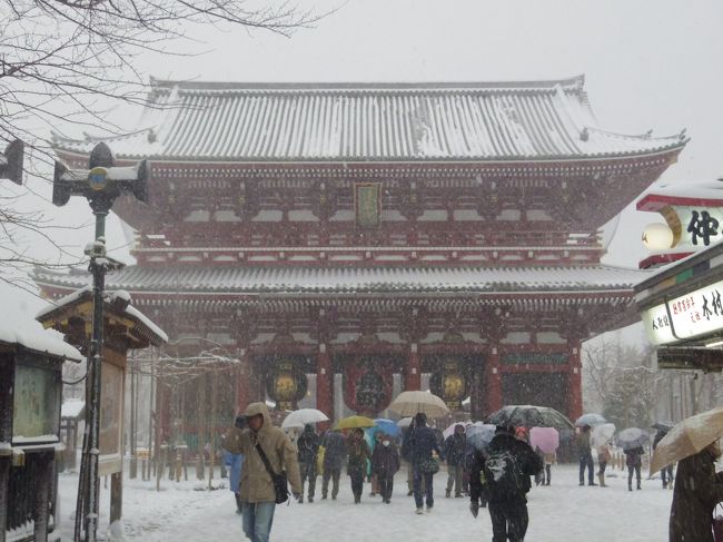 ariel1162km | 浅草寺 雷門⚡️ 滅多に見れない東京の雪景色