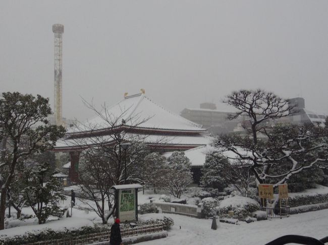 雪景色の浅草寺&スカイツリー』浅草(東京)の旅行記・ブログ by 雪景色の浅草寺&スカイツリー』浅草(東京)の旅行記・ブログ by