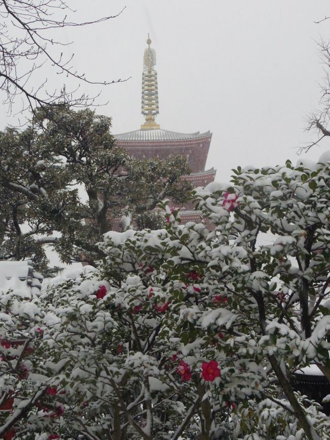 雪景色の浅草寺&スカイツリー』浅草(東京)の旅行記・ブログ by 雪景色の浅草寺&スカイツリー』浅草(東京)の旅行記・ブログ by