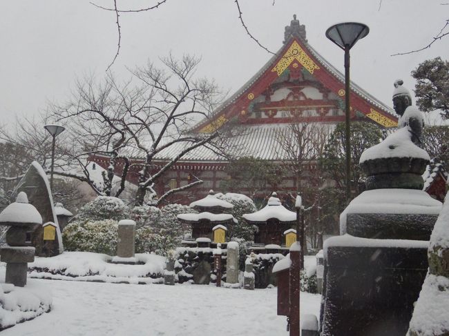 雪景色の浅草寺&スカイツリー』浅草(東京)の旅行記・ブログ by 雪景色の浅草寺&スカイツリー』浅草(東京)の旅行記・ブログ by