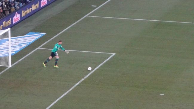 ティモさん、見たかったなぁ…