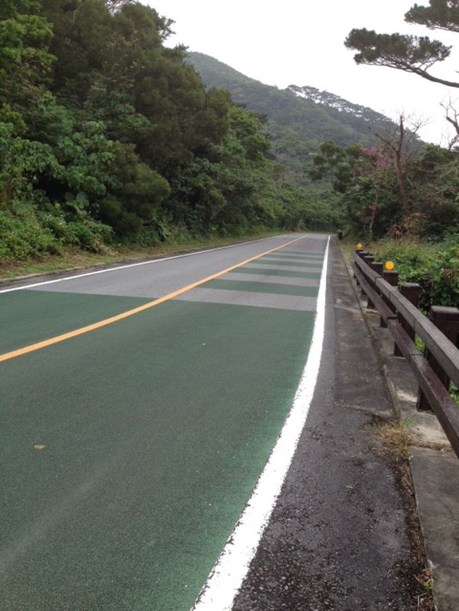 と、街が見渡せる展望台まではまだまだあるようなので、のぼります。のぼります。<br /><br />さっきよりもっと急な坂です。<br /><br />のぼります。<br /><br />もう着かないんじゃないかと思い、那覇行の飛行機に乗れなかったらと考えると、結局引き返してしまいました。<br /><br />下り坂はなんとも言えないくらい気持ちがよかったです。<br /><br />ユーグレナモールに行き、お土産を買い、宿に戻りました。<br /><br />今度行く時はペーパードライバー講習に通ってから行こうっと。<br /><br />楽しい石垣島でした。<br />ありがとう。オーナー、石垣島。