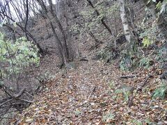 　ところで、第２次上田の合戦の時に、徳川秀忠は中山道を通り、関ヶ原に向かう途中、上田城を攻めたが、その時に兵力は３万８千と言われる。そんな大部隊が中山道の難所である碓氷峠を越えたのだが、中山道歩きの時に通った碓氷峠は細い路で物凄い登りとなる。こんな道を良くも何万の人馬が通過したのは驚きであり、当時の様子はどんなものだったか、想像すると楽しい。
　この写真は２０１０年秋に撮影した中山道の碓氷峠の道です。