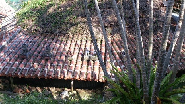 シーサーが沖縄らしいです。