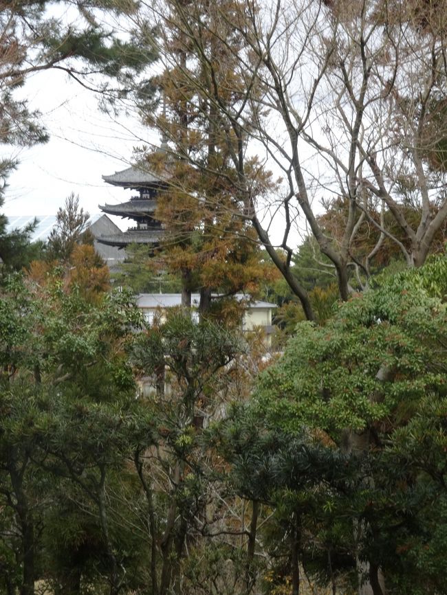 興福寺の五重塔が見えます。