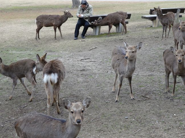 めっちゃ見られてる・・・