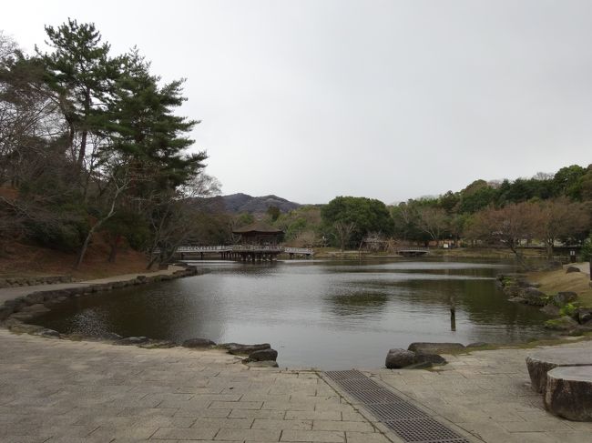 なんせ寒いです。