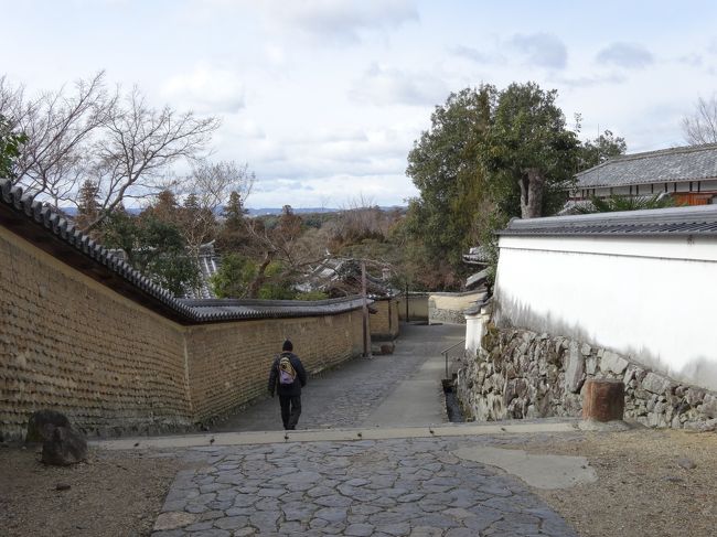 この小路、良い！