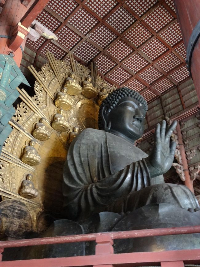 久しぶりにご尊顔を拝しましたが、大人になって見ても大きいですね。