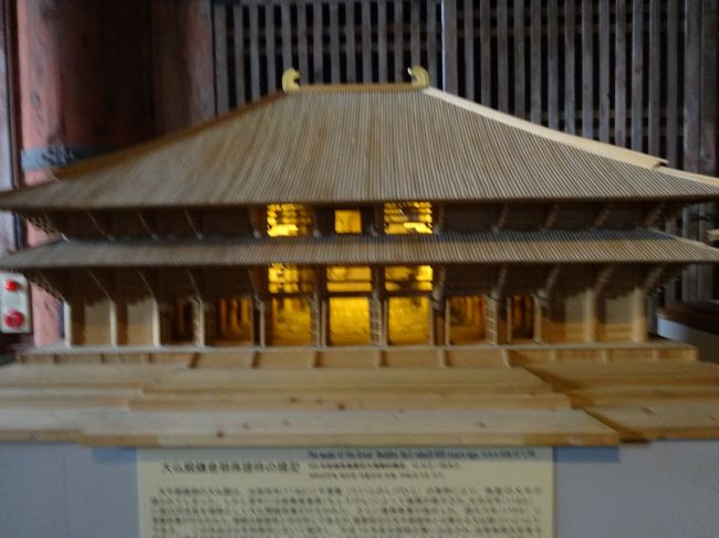 これは鎌倉時代に作られた際の模型<br /><br />戦国時代にも焼失し、一時は大仏さまが雨ざらしの状態の時期もあったそうです。現在の大仏殿は江戸時代に作られました。