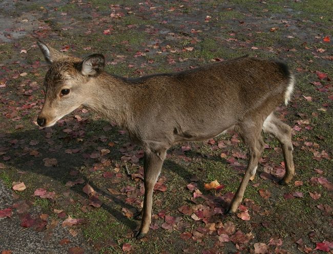 どこへ行くのかなぁ〜〜^^