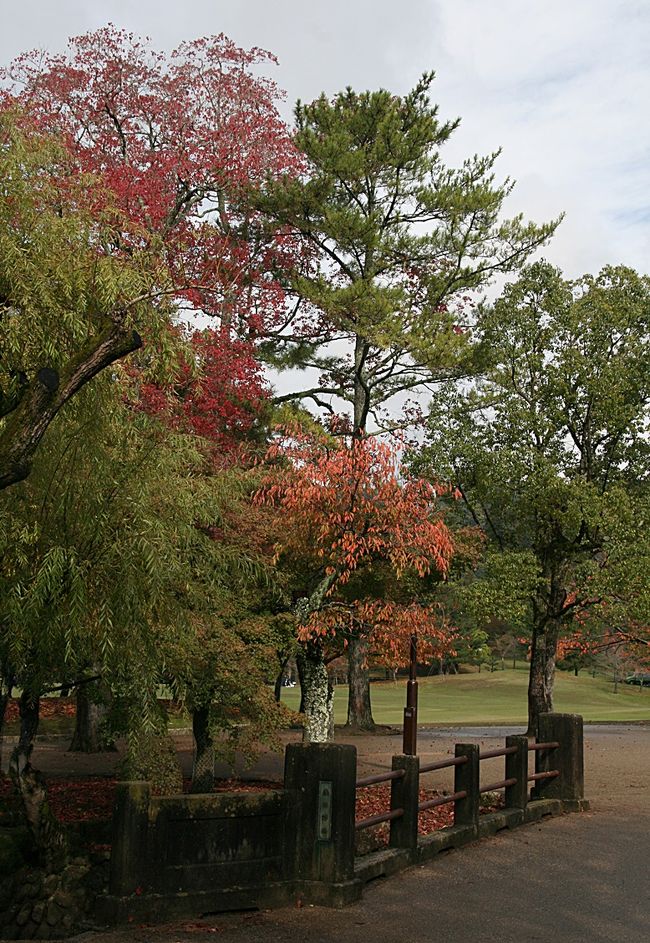 日本庭園っぽい公園内を足早に歩く4traveler2人+おまけ1人