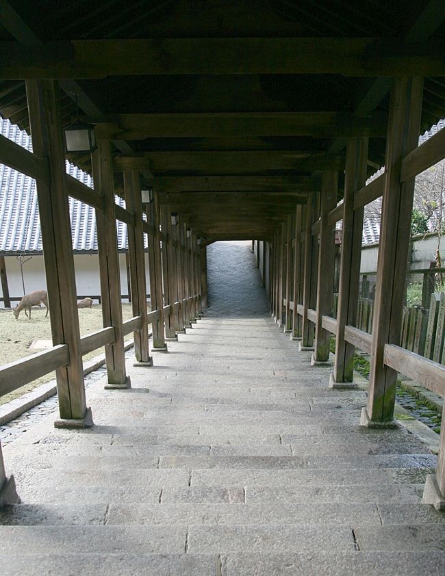 短期間で日本を旅行している外国人たちは、すぐお隣の京都で満足してしまう傾向にあるから、<br />奈良まで出向く外国人観光客ってそんなに多くないんですって。<br /><br />確かに、今回同行したフランス人学生たちも、奈良に行くか、姫路城に行くか迷っていましたね。<br />結局彼らは、奈良には行かなかったようです（姫路城に行ったのかな？）。