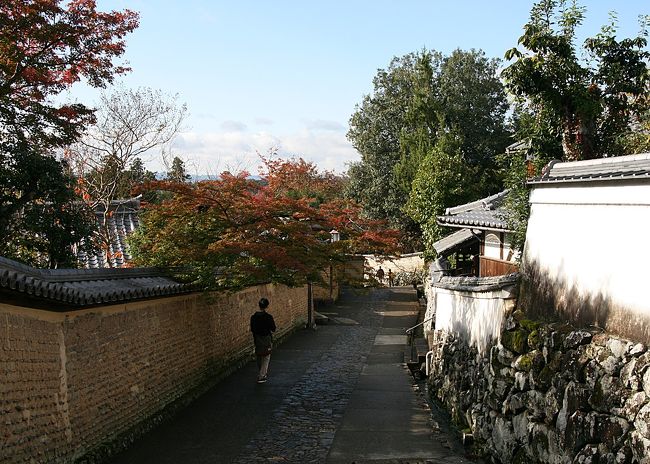 では、ゆっくりお散歩しながらお昼を食べに向かいましょう♪