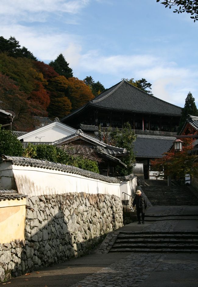 ここも4traの奈良コミュで有名な写真スポットなんですって。<br />