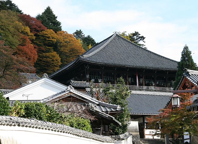 薄らと紅葉していてとても綺麗な景色でした。