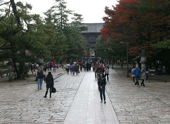 この時期、修学旅行生たちをたくさん見かけました。<br />シーズンなんですね！？何気に紅葉のいいシーズンに修学旅行って行くものなんですね(^^