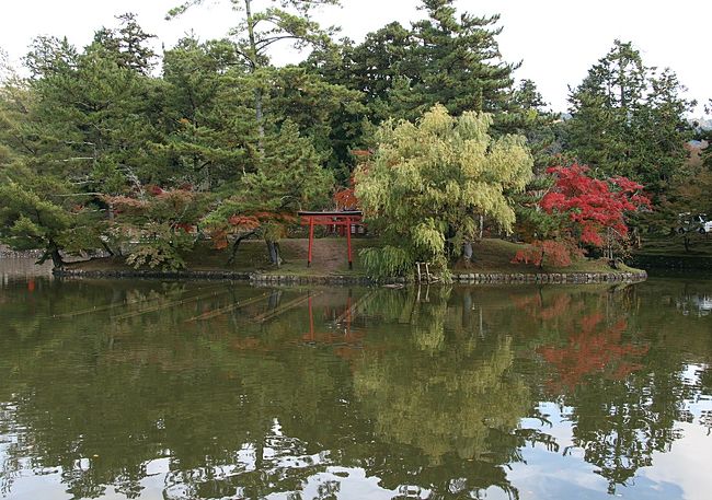 晴れていればもっと美しかったであろう風景…