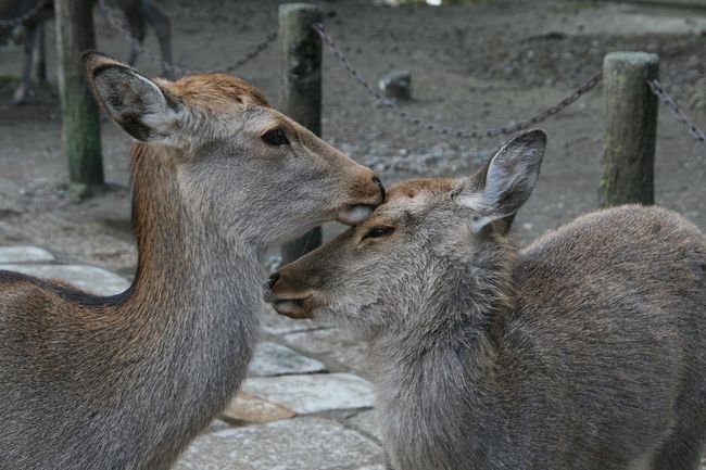 いつまでも仲良くね(^^*