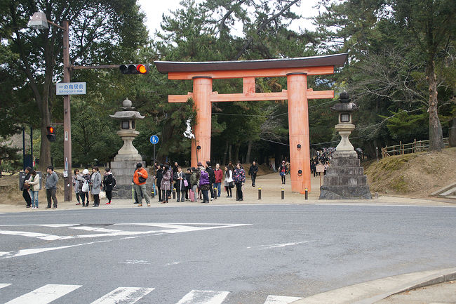 ●一の鳥居＠春日大社<br /><br />春日大社一の鳥居です。<br />大阪を出る頃、雨が降っていました。<br />その雨が、先ほど奈良市内まで追いかけてきて、降っていきました。<br />一の鳥居を歩く頃には、止んでいました。