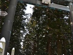 北口本宮富士浅間神社です。
R139沿いの入り口です。
国道は何十回も通っていますが、境内にはあまり入った記憶がありません。
一度通り過ぎたのですが、Uターンして…。