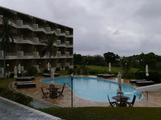 朝起きてみると…、天気はよくありません。<br />しかも風がビュービュー吹いて木が揺れています。