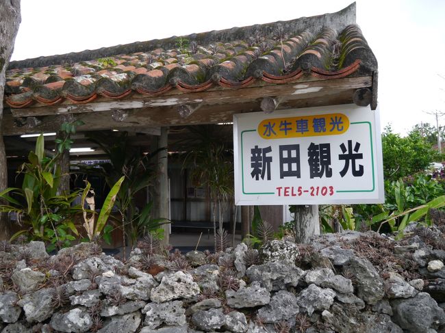 新田観光さんで水牛車に乗りました。<br />理由は行ってみれば分かりますが、水牛車に乗るならこちらをお勧めします。