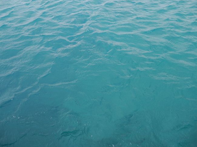 港でも海がきれいです。