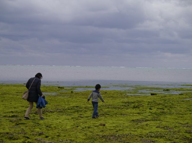 あおさーがツルツル滑るので危険ですが、海岸の散策を楽しみました。