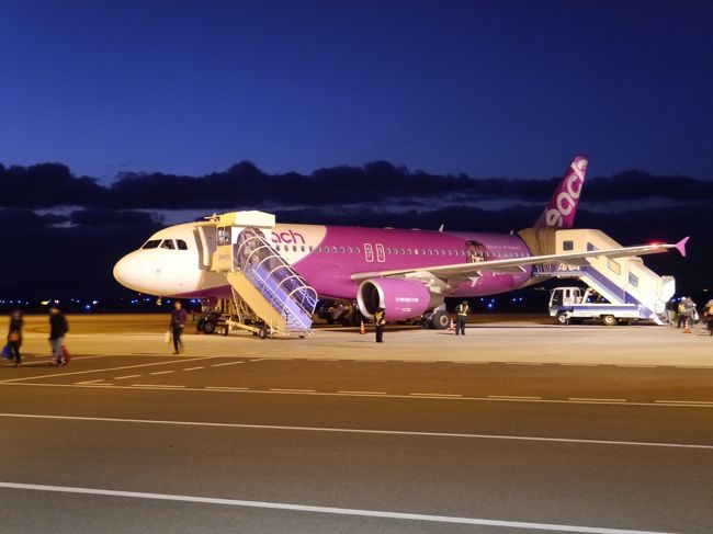 帰りはピーチでした。<br />定刻通りに出発、到着しました。<br /><br />石垣島では寒い、寒いと思ってましたがやはり大阪のほうが数倍寒かった。<br /><br />今回は観光たくさんしたので、次回温かい時期に行って海を楽しみたいです。