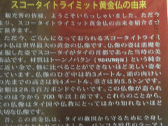 言わないのに日本語パンフレットを渡されました。