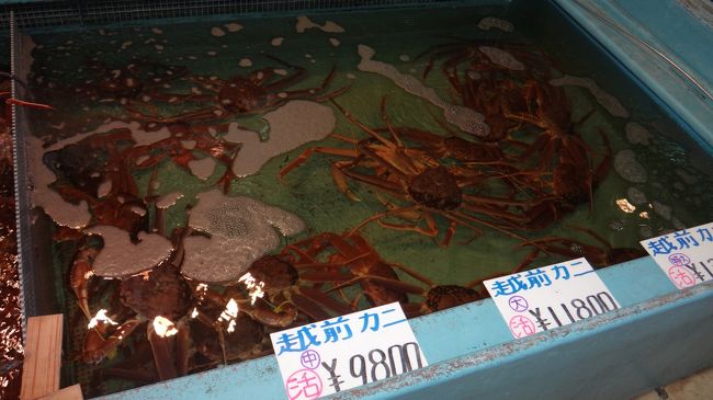 生け簀には越前カニがいます。