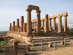 13:00 ヘラ神殿 Tempio di Giunone

丘の一番東側の高台にあります。紀元前450年頃に建造された周柱式ドーリア式神殿で、4段の基壇上に前背面に6本側面に13本の円柱が建っています。

基壇の白い漆喰は、当時基壇や柱が白く塗られていた名残りです。その上部は赤・黄・青に彩色されていたそうです。