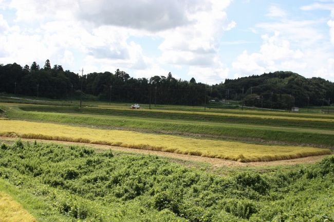 車窓からはのどかな風景がひろがっていました。季節の移り変わりの風景ですね。