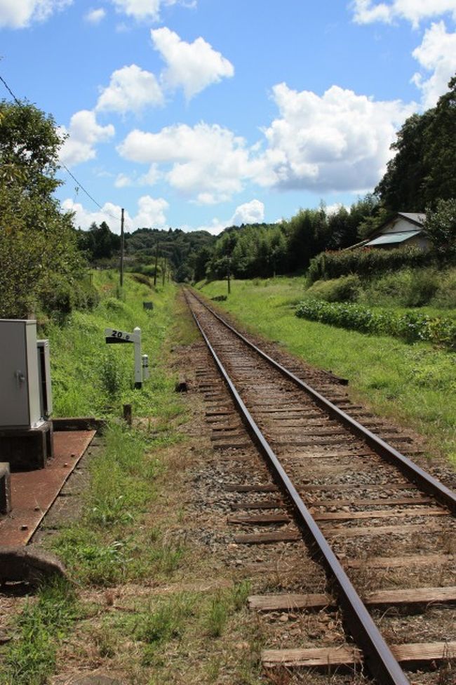 それにしても「田舎の夏」って感じでどこか懐かしい気持ちにさせてくれます。<br /><br />自分はこの写真が気に入っています。
