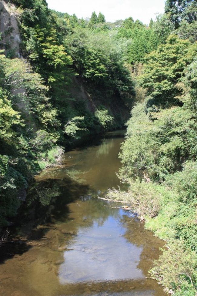 会話中も「ハイキングじゃなくて田舎の散歩だね」のような意見が出ていました。 <br /><br />しかし、進んで行くと養老渓谷らしい雰囲気が出て来ました。