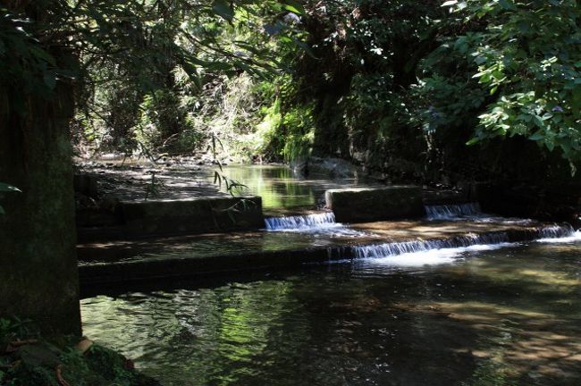少し道をそれて沢に下りてみたりしました。