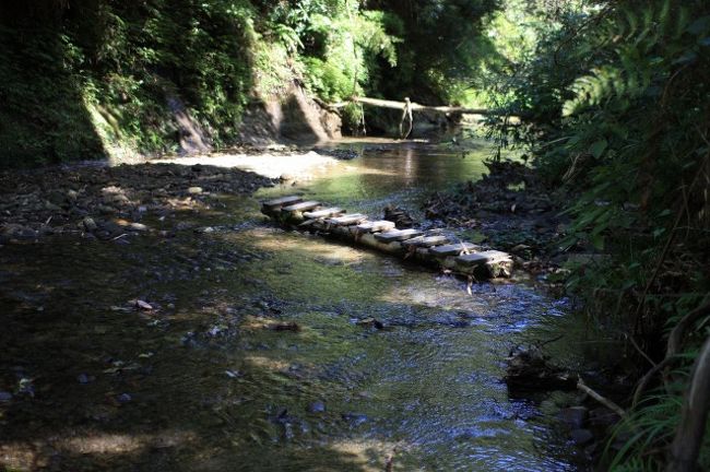 橋が流されていました。